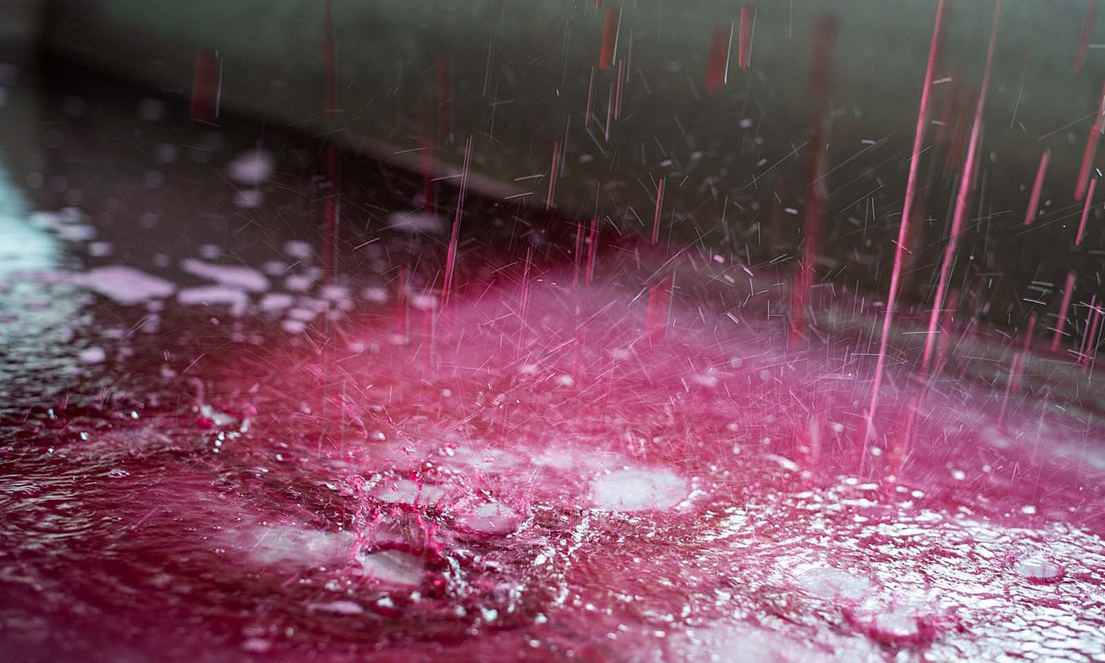 Gerard Mugneret, Vosne-Romanée