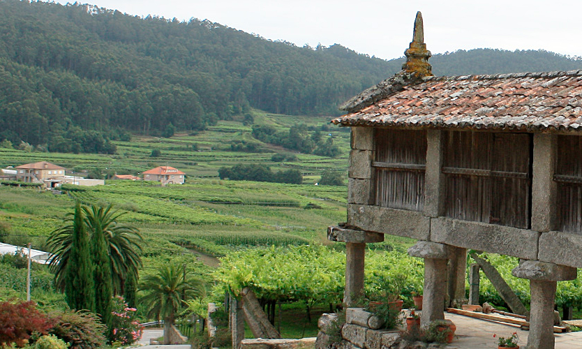 Bodegas Gerardo Mendez, Rias Baixas