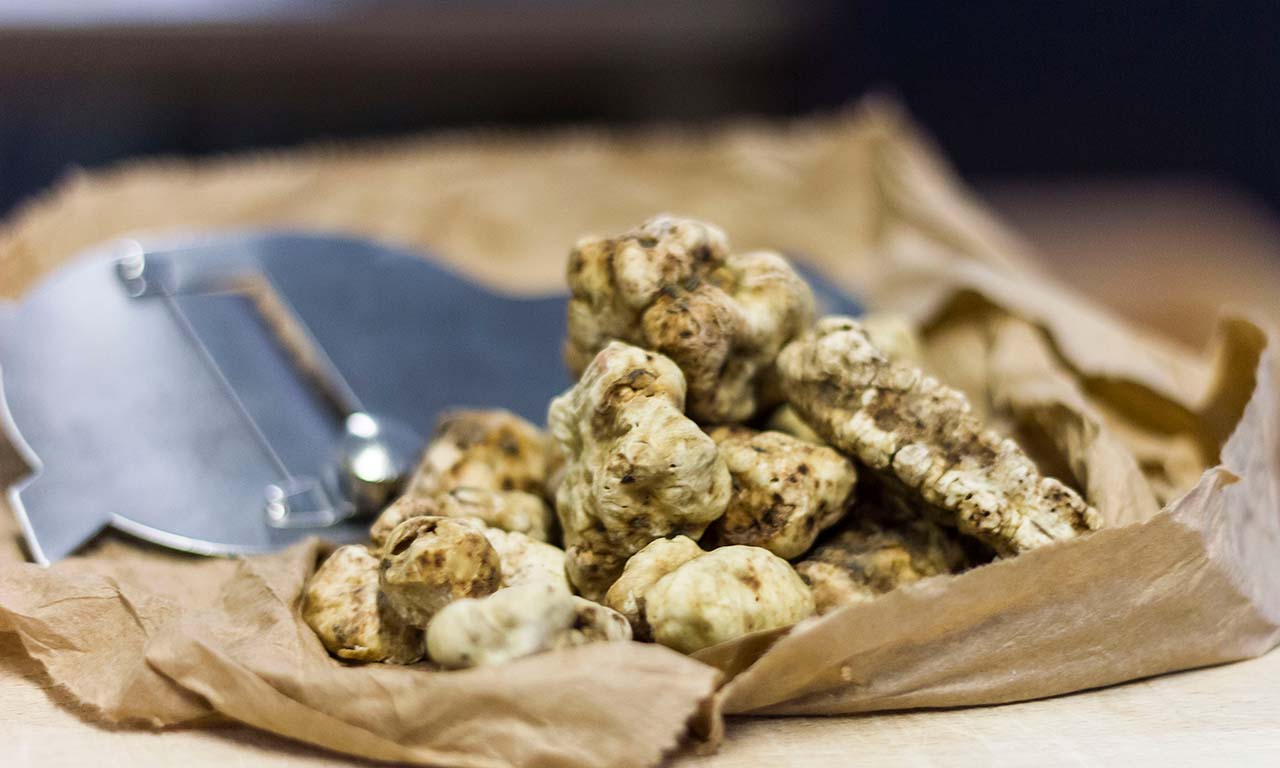 Trøffel-tips - sorte og hvide trøfler